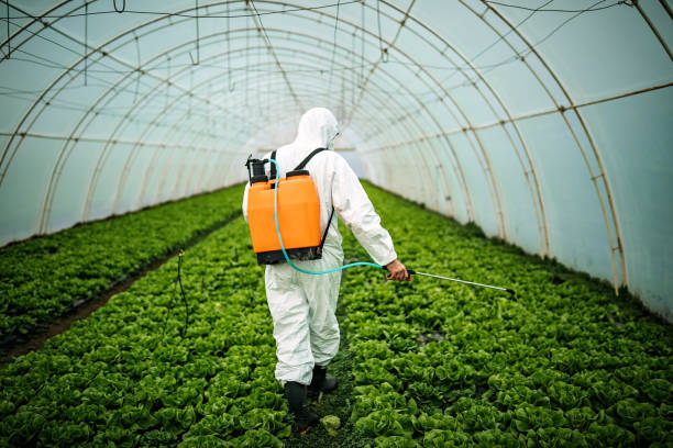 Best Pest Prevention Services  in Milton, WV