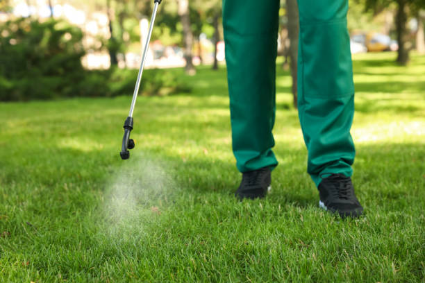 Best Cockroach Control Services  in Milton, WV