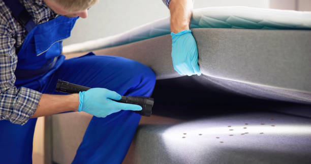 Best Bed Bug Extermination  in Milton, WV
