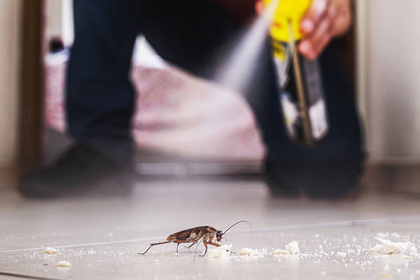 Milton, WV Pest Control Pros
