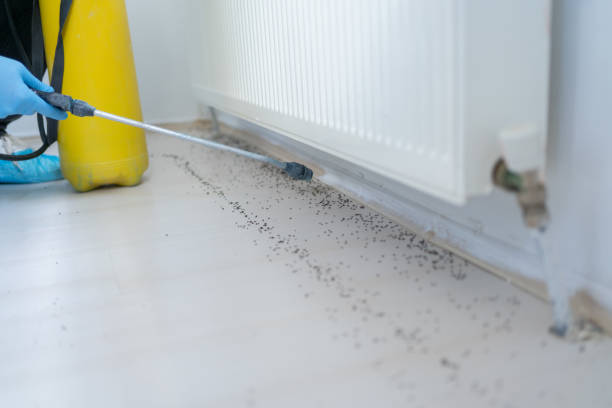Best Pest Control for Businesses  in Milton, WV