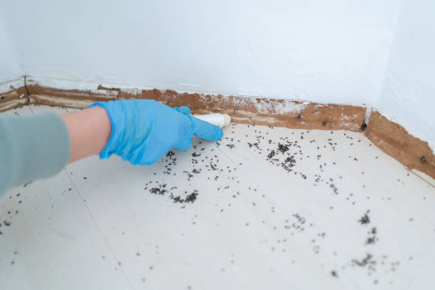 Best Pest Control Near Me  in Milton, WV