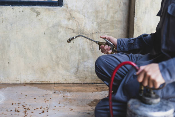 Best Exterminator Services  in Milton, WV