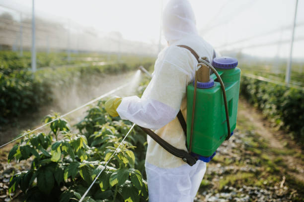 Best Pest Control for Homes  in Milton, WV